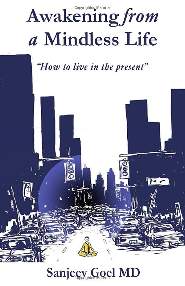 Awakening from a Mindless Life: How to Live in the Present Age