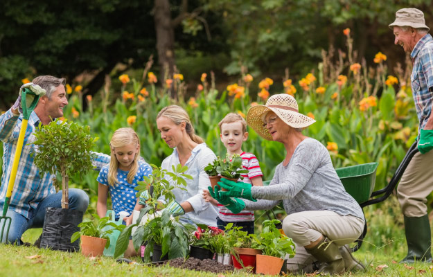 elders-with-family-in-the-garden------------Epigenetics-and-Longevity-How-Genomes-Determine-Our-Lifespan_ss_body