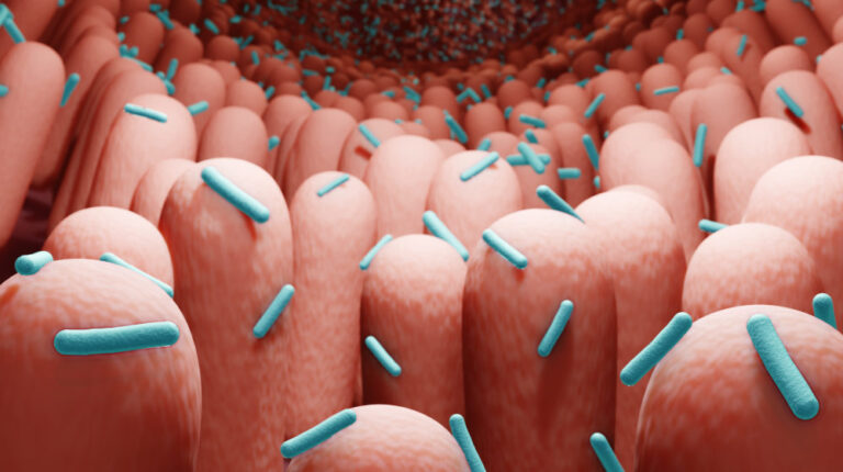 gut-bacteria,-microorganisms-in-human-intestine-------Biohacking-Your-Gut-Microbiome-for-Weight-Loss_ss_feature