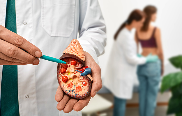 kidney-exam-for-female-patient-with-kidney-disease-soft-focus-Risks-and-Side-Effects-of-Chelation-Therapy