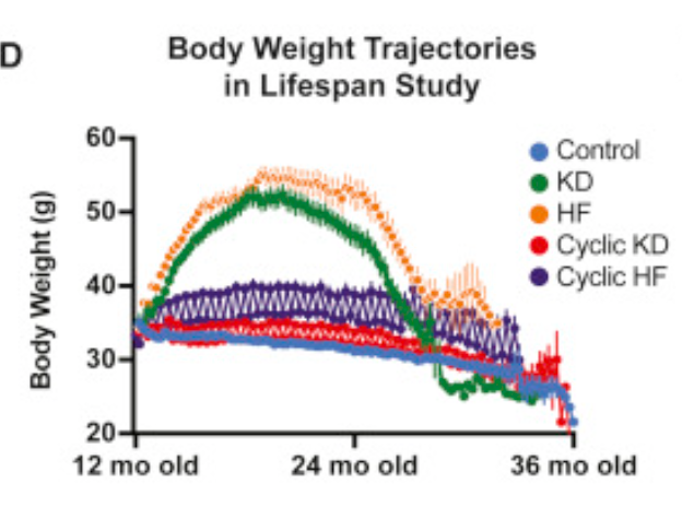 Body weight in lifespan study. Source: Cell Metabolism.
